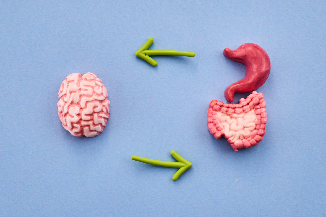 Craving Protein Instead of Sugar? Scientists Say Your Gut May Be Rewiring Your Brain.